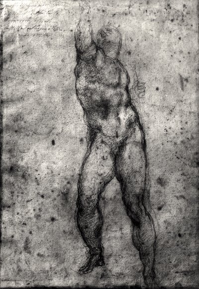 Study of a male nude by Michelangelo Buonarroti